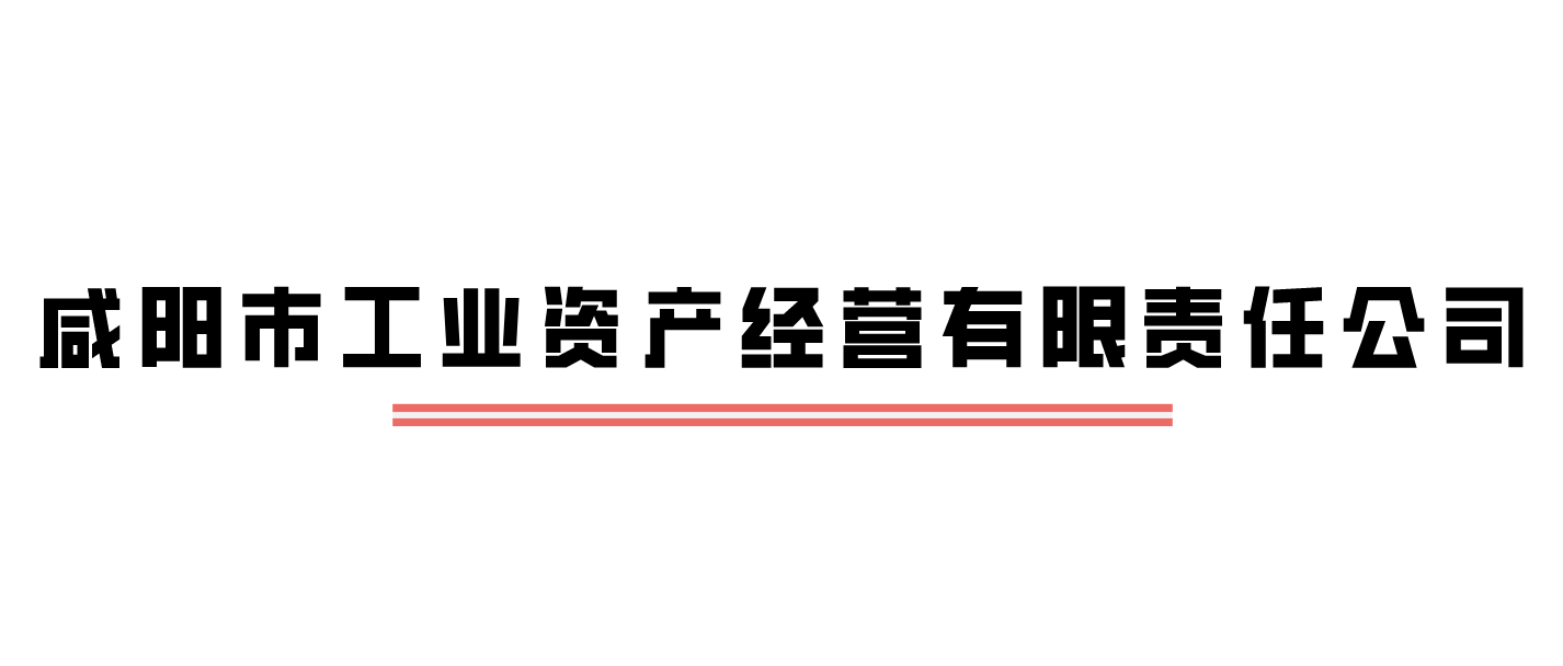 咸陽市工業資產經營有限責任公司